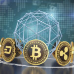 vtw management featured image